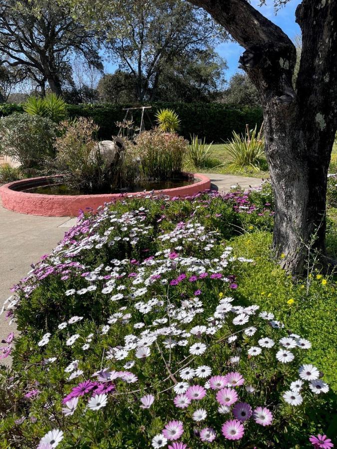 הוילה ואלאוריס Domaine Des Tuilieres Avec Piscine מראה חיצוני תמונה